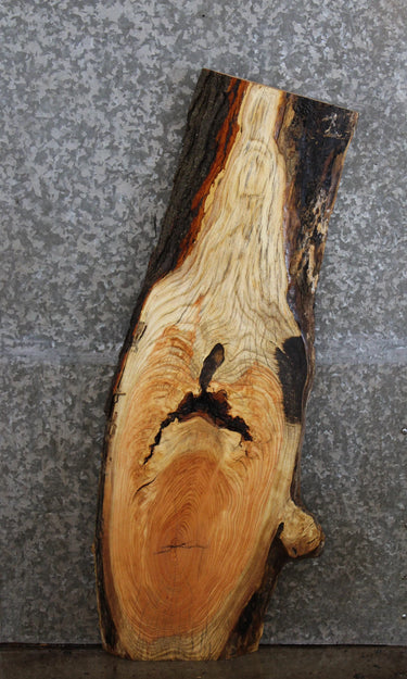 Locust Live Edge Coffee Table Top/Mantel Shelf 4575